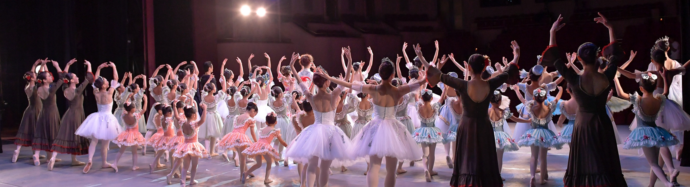 発表会・イベント